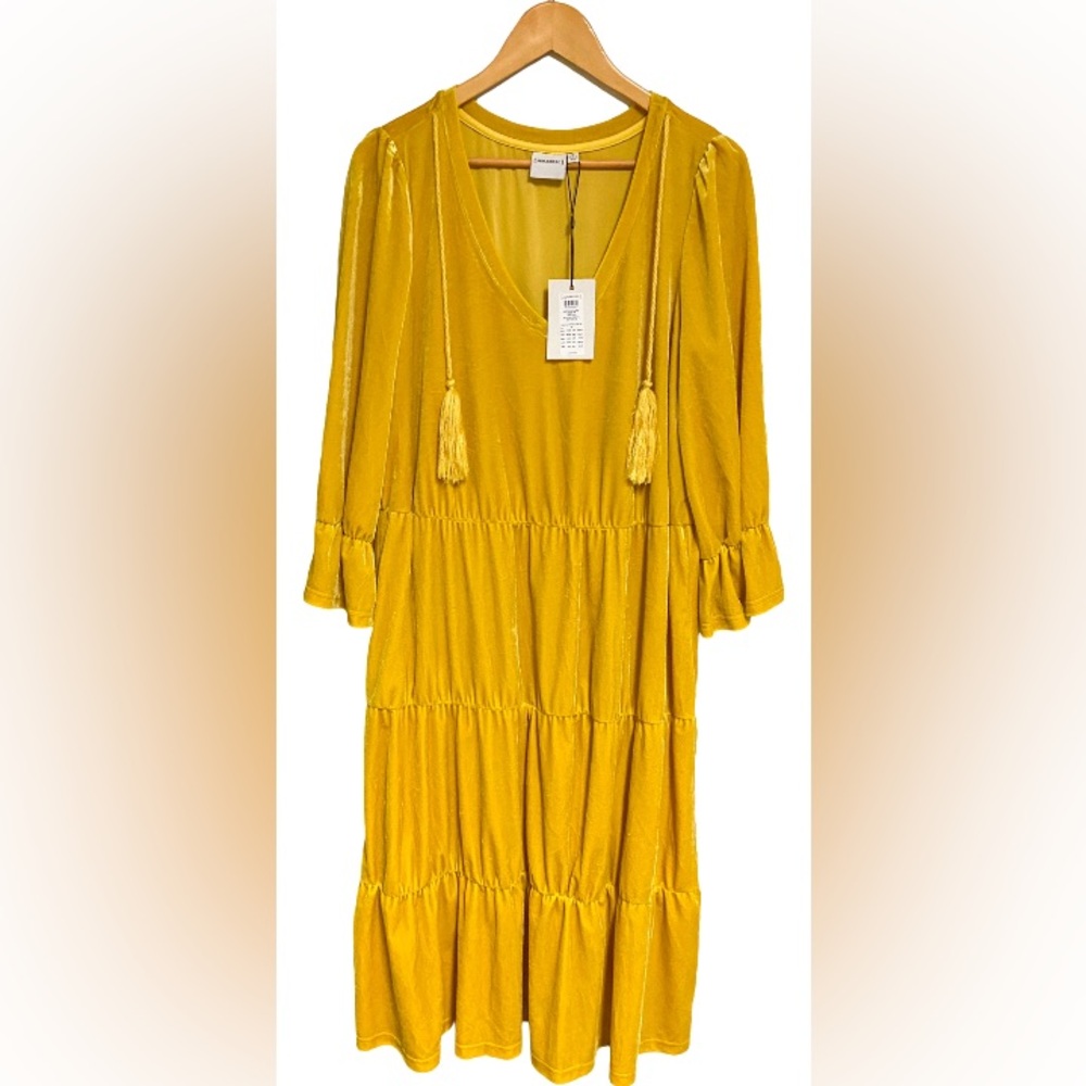 NWT - ASOS Plus Size Velvet Boho Dress
